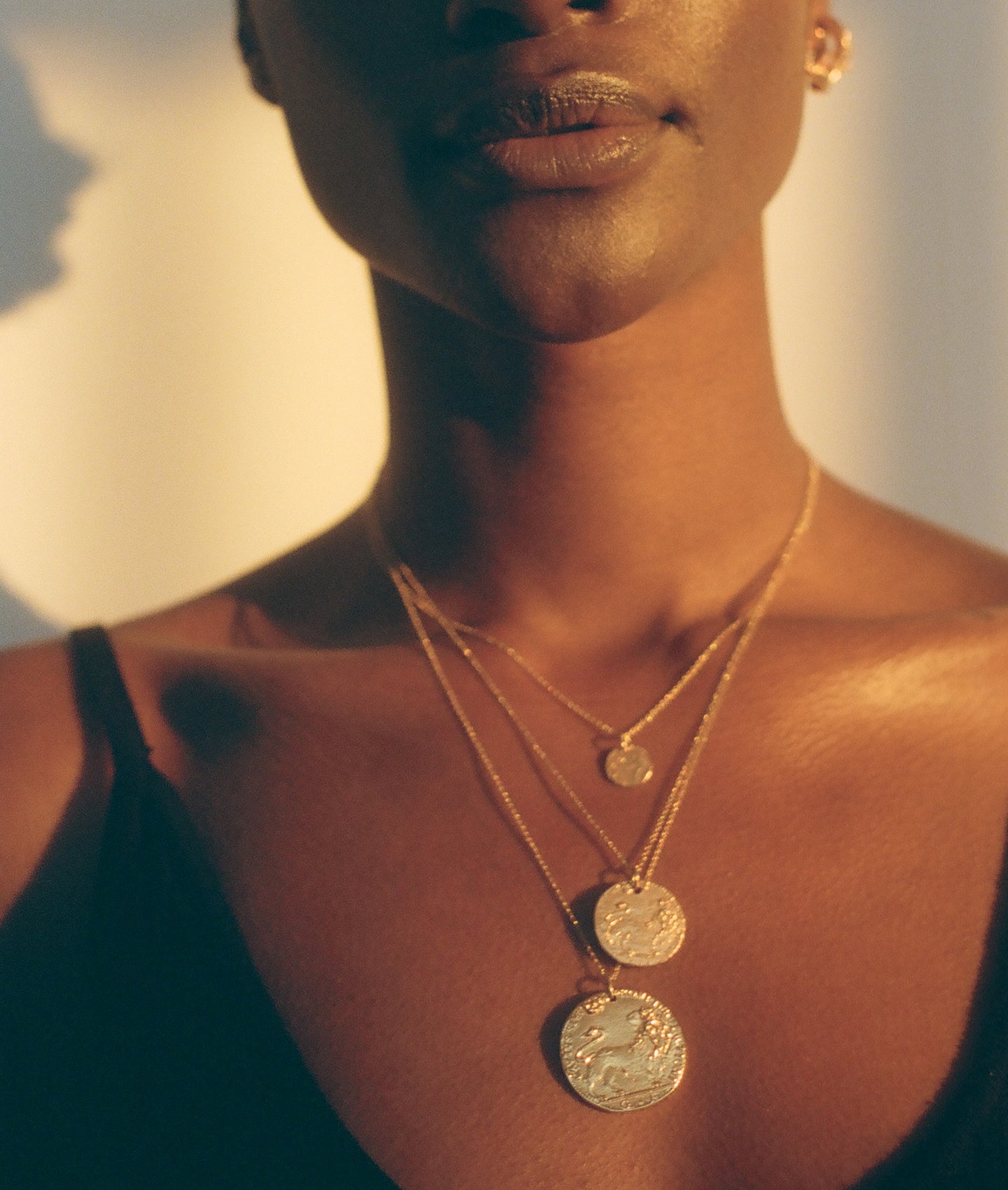 The Lion Club: Medallions For Strength & Courage | Alighieri Jewellery