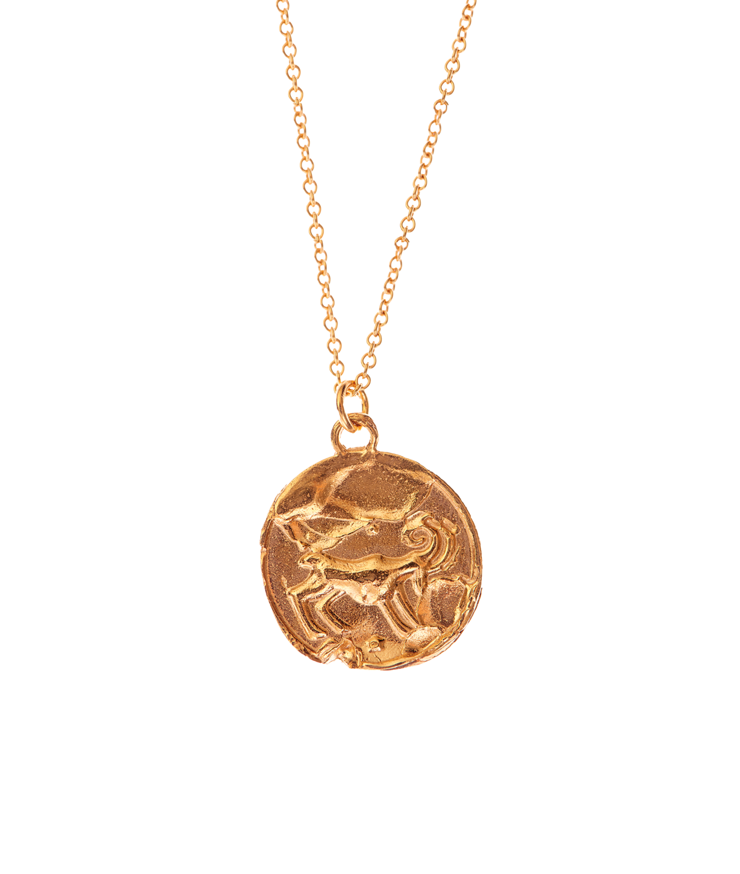 Zodiac Necklace | Astro Gold Plated Jewelry