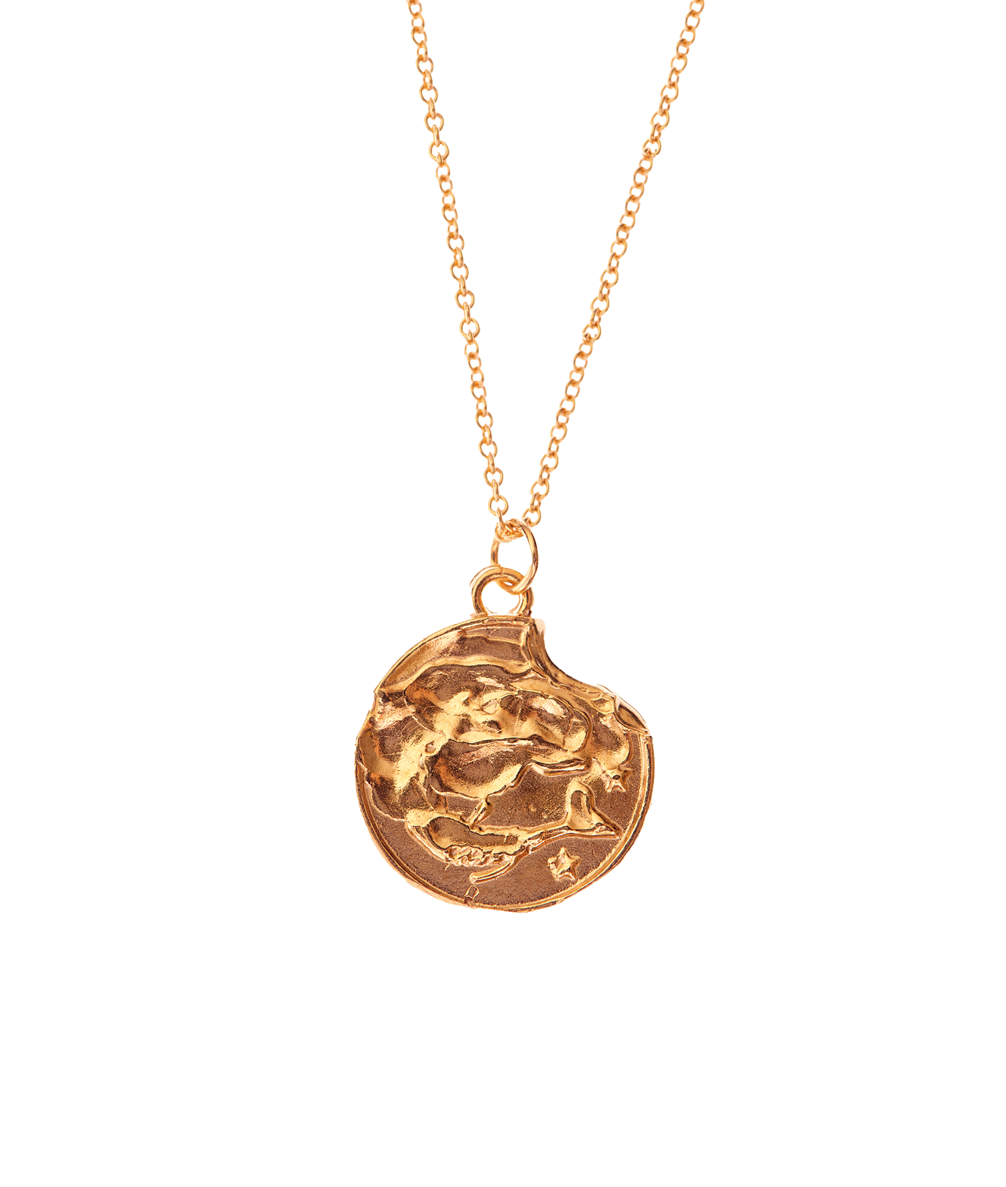 Pisces Necklace 24k Gold Plated Zodiac Pendant Alighieri